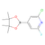 2-chloro-6-fluoropyridine-4-boronic acid, pinacol ester
