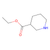 ethyl nipecotate