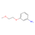 3-(2-methoxyethoxy)aniline