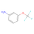 3-(trifluoromethoxy)aniline