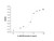 recombinant human il-28a/ifn-lambda 2 protein