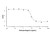 recombinant human osteoprotegerin protein