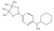 2-(cyclohexylmethylamino)pyridine-5-boronic acid pinacol ester