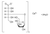 calcium lactobionate