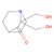 prima-1 (c09-1010-528)