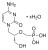 cidofovir