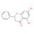 pinocembrin (c09-1017-777)