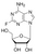 2-fluoroadenosine (c15-1215-955)