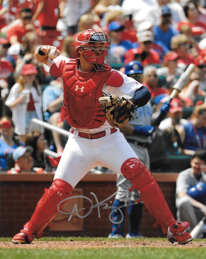 Andrew Knizner Signed 8X10 IMG 6