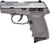SCCY CPX-4TTSG .380 ACP 2.96" 10+1 DAO Stainless/Sniper Gray