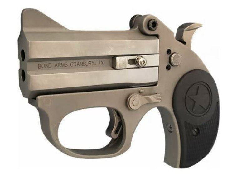 Bond Arms BASRS-22LR STINGER RS .22 LR  3" 2 Rounds Stainless W/ Rough Series Finish