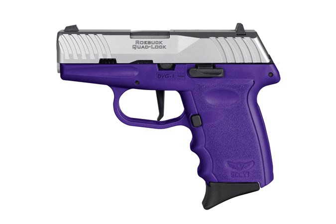 SCCY DVG-1TTPURDR DVG-1 RDR 9mm 3.10" 10+1 Stainless/Purple