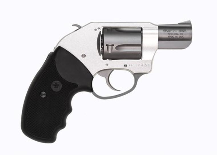 Charter Arms Model 53810 On Duty 2" .38 Special 5 Rounds Stainless
