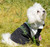 Touchdog Mount Pinnacle Pet Ski Jacket Touchdog Mount Pinnacle Pet Ski Jacket
