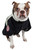 Touchdog Mount Pinnacle Pet Ski Jacket Touchdog Mount Pinnacle Pet Ski Jacket