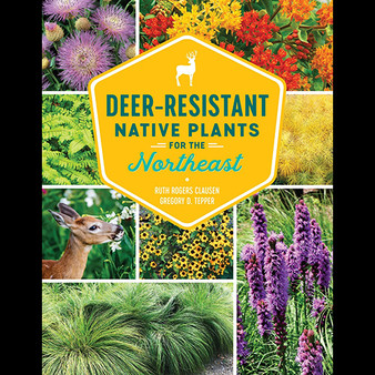 Deer-Resistant Native Plants for the Northeast