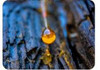 Loban - Labdanum Elixir The Misk Shoppe