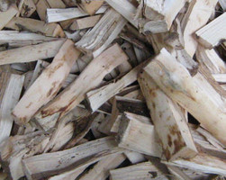 About the Agarwood