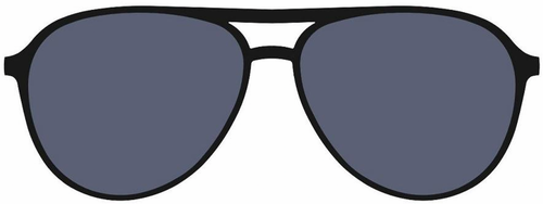 Black x Black Aviator Polarized Sunglasses