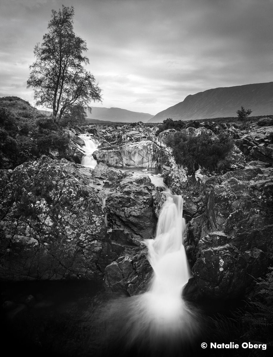 Ilford Ortho Plus Black and White Negative Film - 35mm 36 Exposures