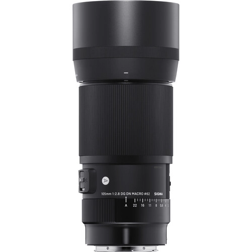 Sigma 105mm f/2.8 DG DN Macro Art Lens - L Mount