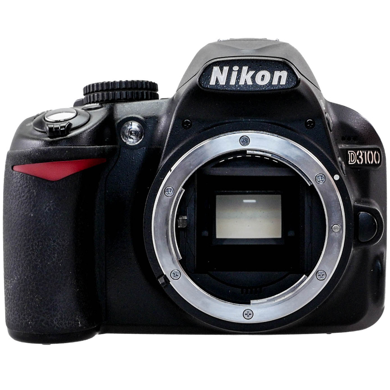 Nikon D3100 ボディストラップ - roamingmyplanet.com