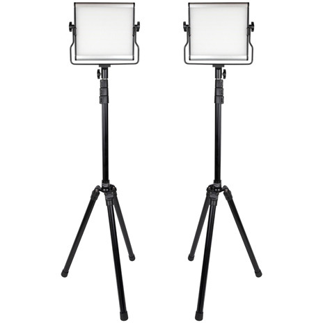 ProMaster Basis B88B 2-Light Bi-Color LED Kit