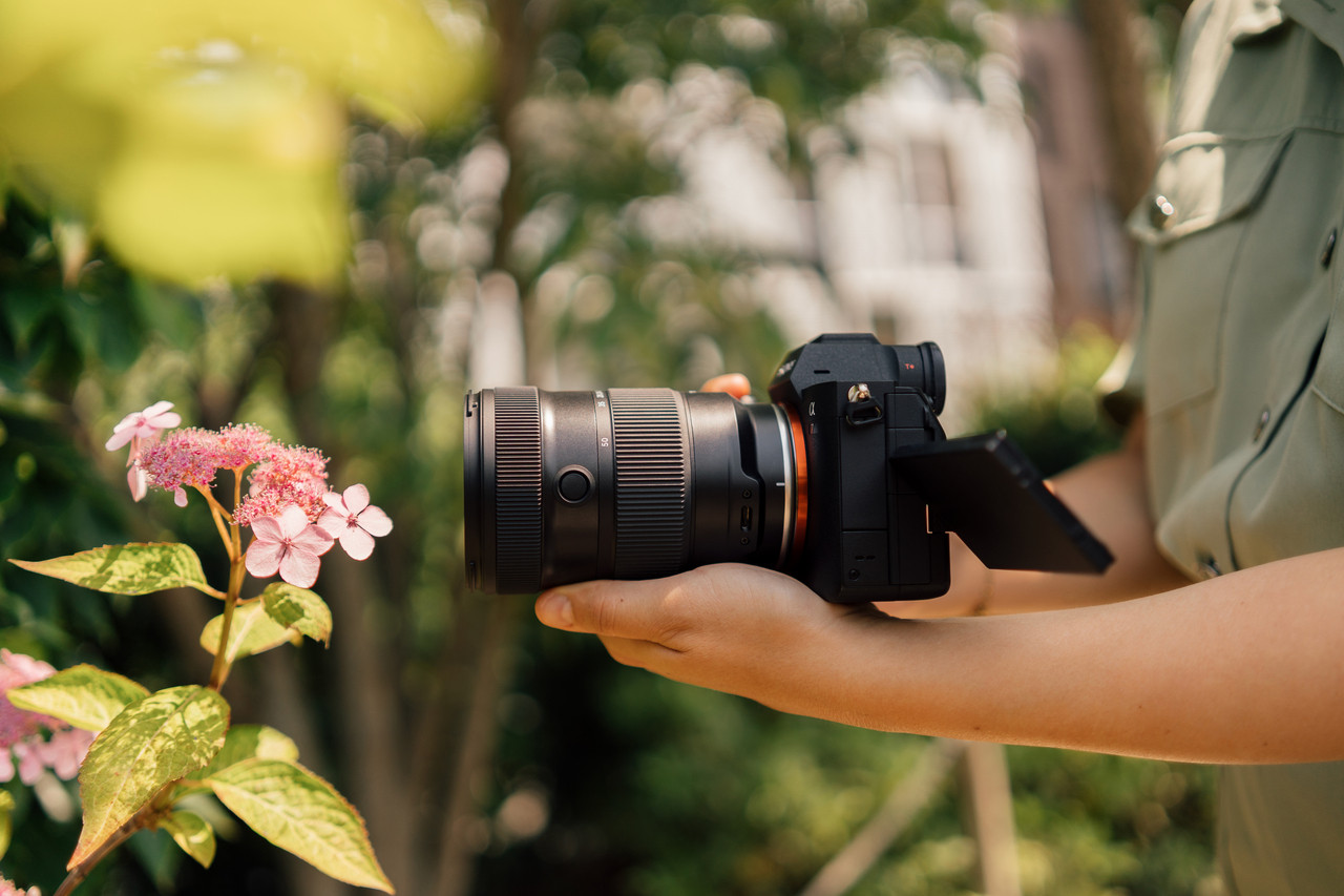 Tamron 17-50mm f/4 Di III VXD Lens (Sony E) - Precision Camera and 