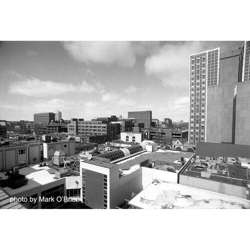 Film Photography Project X2 Eastman Double-X Negative Film
