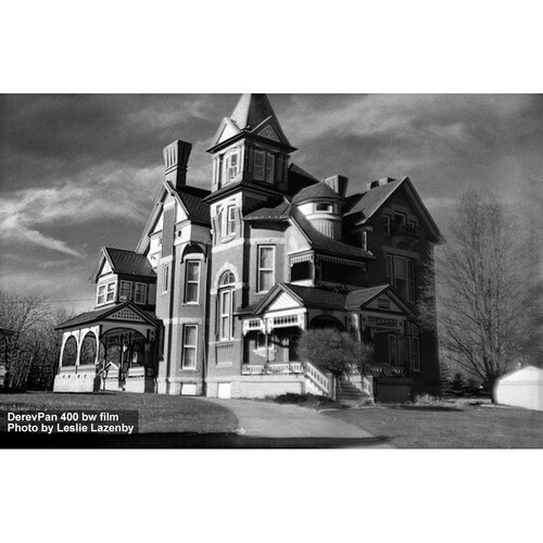 Film Photography Project Derev Pan 400 Black and White Negative Film