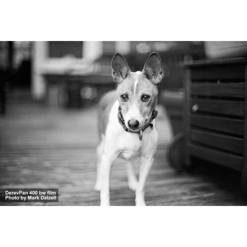 Film Photography Project Derev Pan - Thumbnail 4