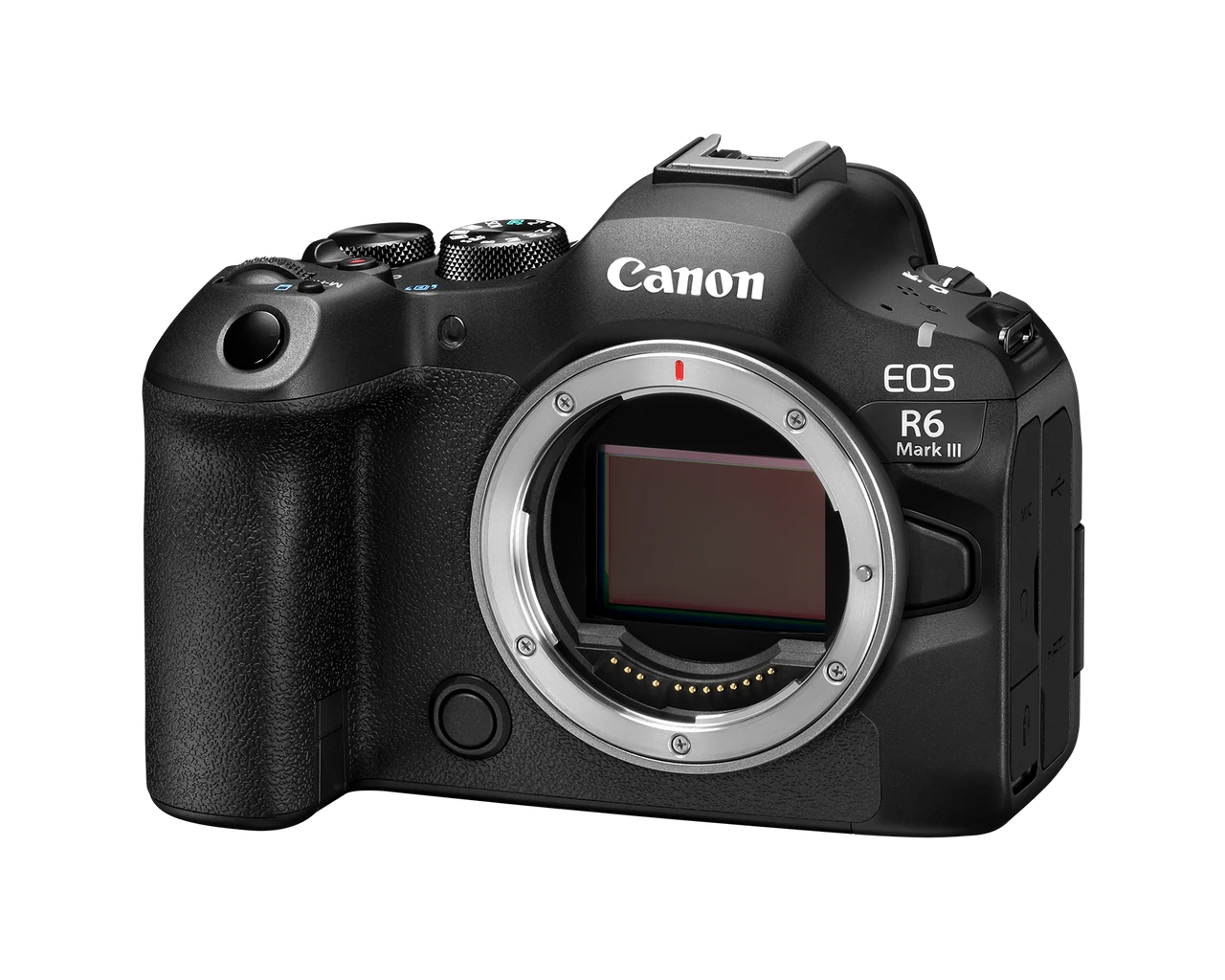 Canon EOS R6 Mark III Mirrorless Camera (7084C002)