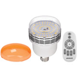 Westcott Basics 45W LED 2-Light Umbrella Kit with 2.4 GHz Remote