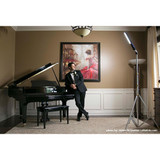 ProMediaGear Modular Ball Mount System