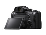 Sony Alpha a9 Mirrorless Camera Body