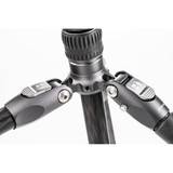 Benro Rhino Carbon FIber Tripod with VX20 Ball Head