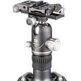 Benro Tortoise Carbon Fiber Tripod with GH2F Gimbal Head