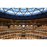 Nikon Zf Mirrorless Camera with 40mm Lens (1763)