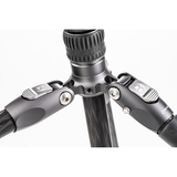 Benro Rhino #2 Carbon Fiber Travel Tripod with VX25 Ball Head (7314492)