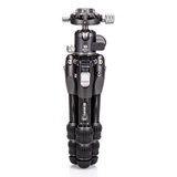 Benro Tortoise #0 Carbon Fiber Tripod with GX25 Head (7314348)