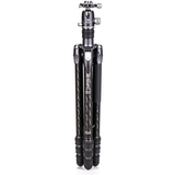 Benro Rhino #3 Carbon Fiber Travel Tripod VX30 Ball Head (7314508)