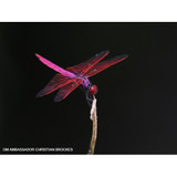 OM SYSTEM OM-1 Mark II with 12-40mm f/2.8 Lens