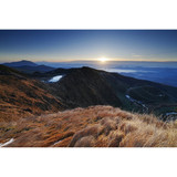 Sony FE 16-25mm f/2.8 G Lens (Sony E) 