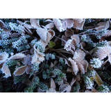 Sony FE 16-25mm f/2.8 G Lens (Sony E) 