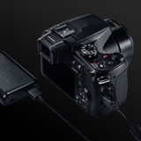 Panasonic Lumix FZ80D Digital Camera (DCFZ80DK)