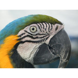 Panasonic Lumix FZ80D Digital Camera (DCFZ80DK)