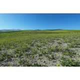 Sony ZV-E10 II Mirrorless Camera (Black) (ZVE10M2B)