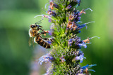 TAMRON 90mm F2.8 Di III VXD (SONY E - Mount)