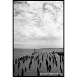 Film Photography Project X2 Eastman Double-X Black and White Negative Film (35mm Roll Film, 24 Exposures) (5107993)