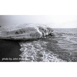 Film Photography Project Low ISO Black and White Negative Film (35mm Roll Film, 24 Exposures) (5108198)